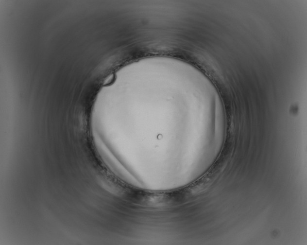 X0000094330173200711241837