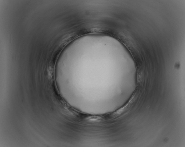 X0000094330175200711241837