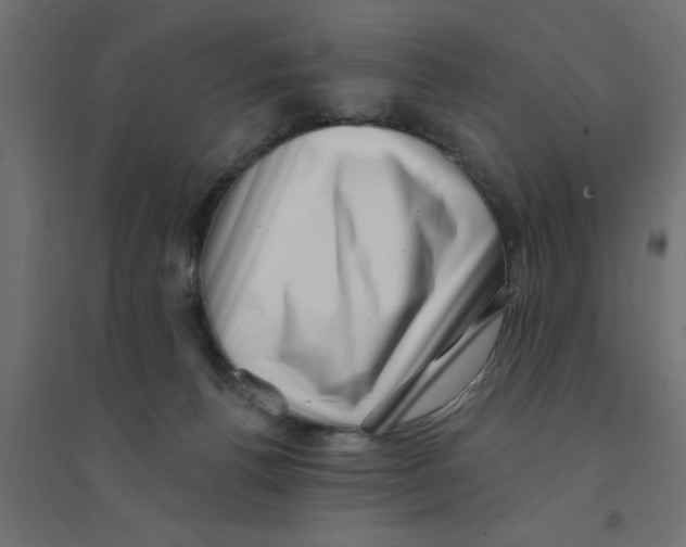 X0000094330176200711241837