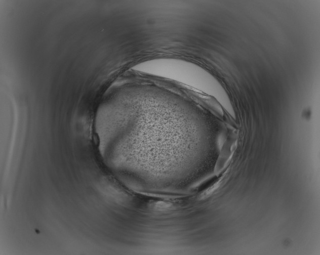 X0000094330180200711241837