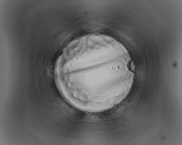 X0000094330181200711241837