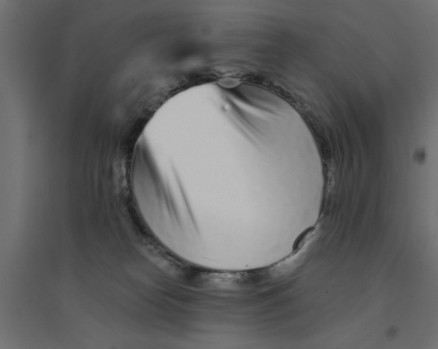 X0000094330182200711241837