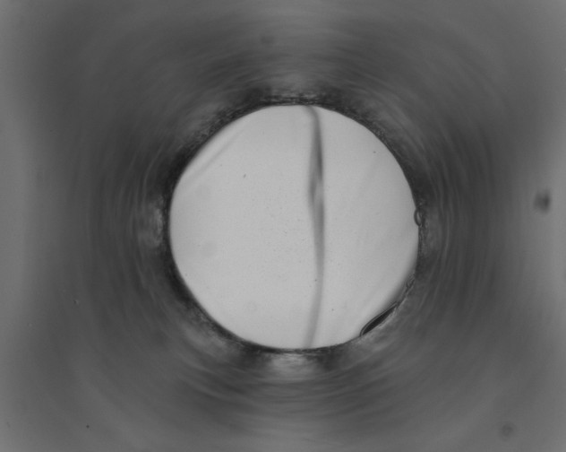 X0000094330183200711241837