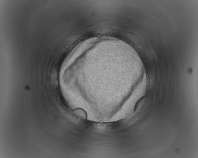 X0000094330187200711241837