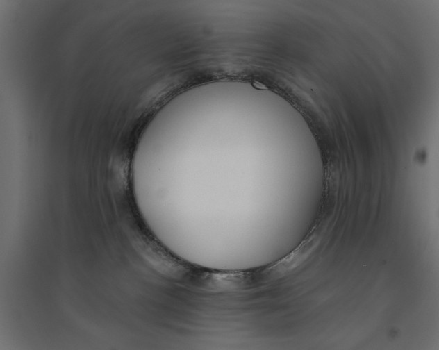 X0000094330188200711241837