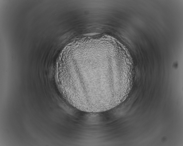 X0000094330189200711241837