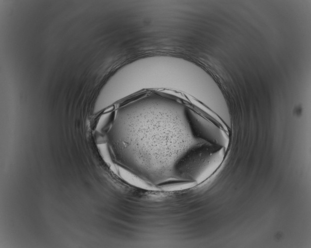 X0000094330190200711241837