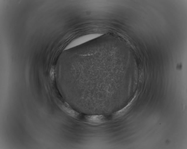 X0000094330191200711241837