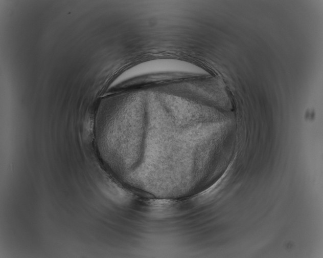 X0000094330192200711241838