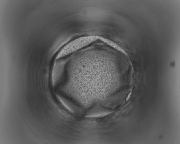 X0000094330194200711241837