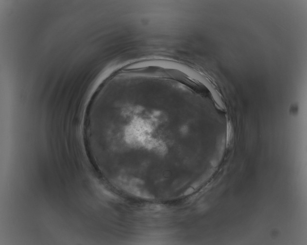 X0000094330195200711241837