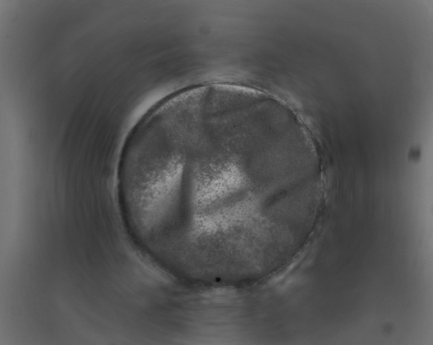 X0000094330196200711241837