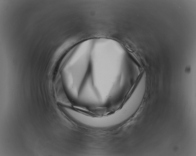 X0000094330197200711241837