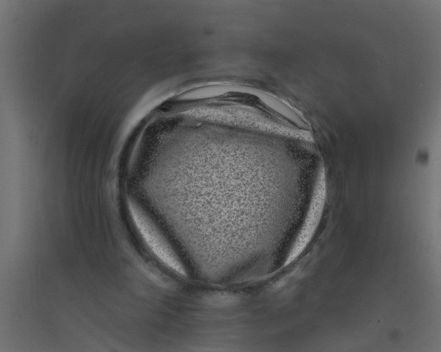 X0000094330198200711241837