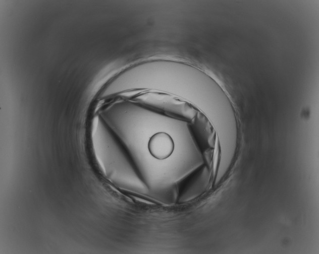 X0000094330199200711241837