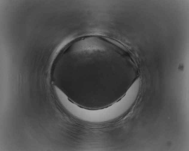 X0000094330200200711241837