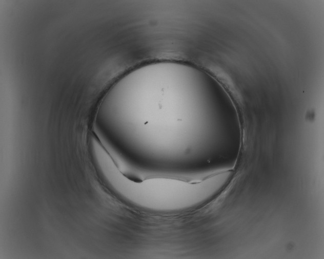 X0000094330201200711241837