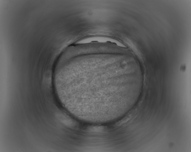 X0000094330202200711241837