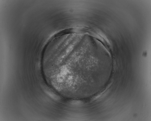 X0000094330203200711241837