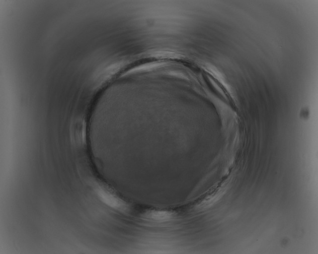 X0000094330205200711241837