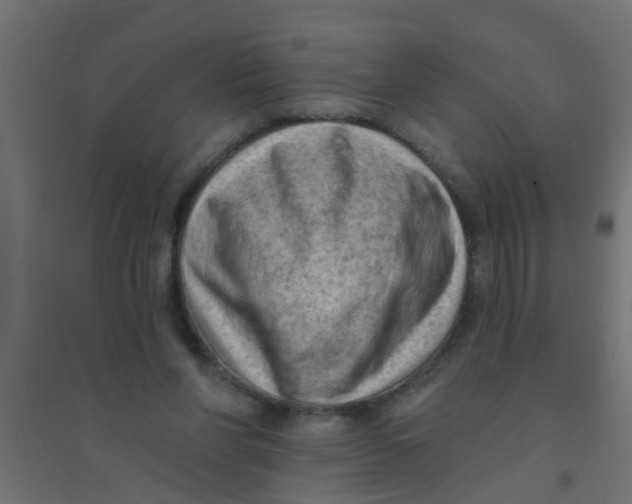 X0000094330206200711241836