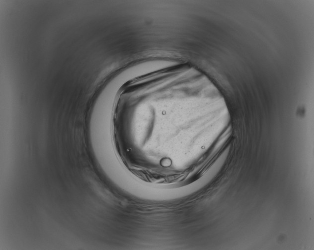 X0000094330207200711241836