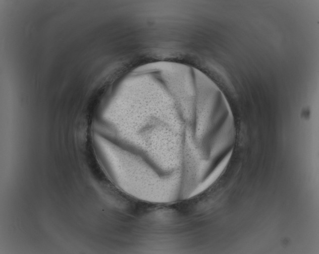 X0000094330210200711241836