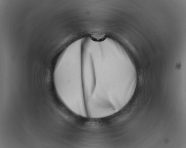 X0000094330211200711241836