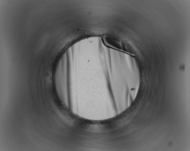 X0000094330212200711241836