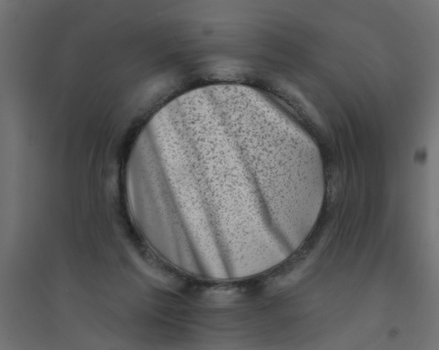 X0000094330213200711241836