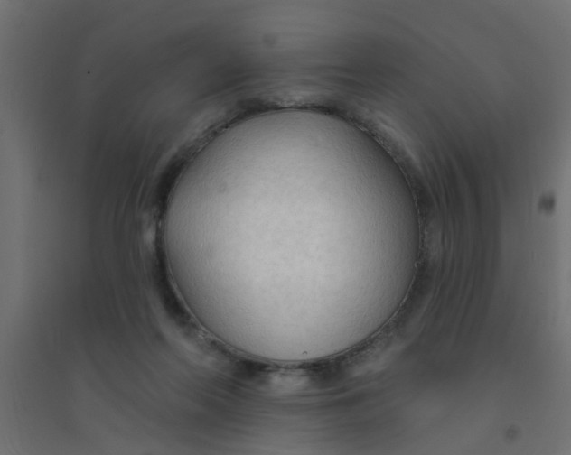 X0000094330214200711241836