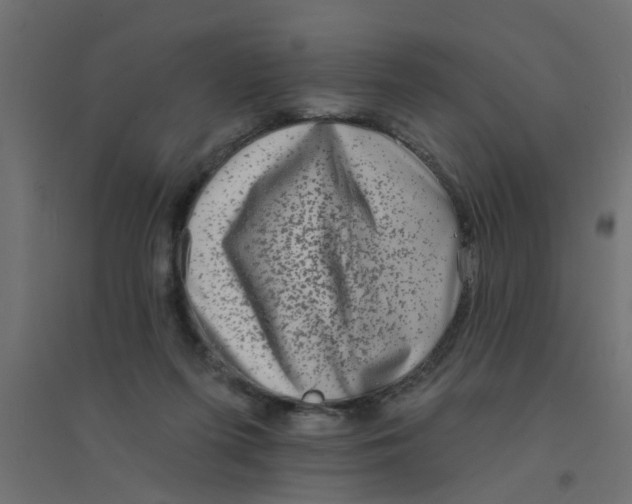 X0000094330215200711241836