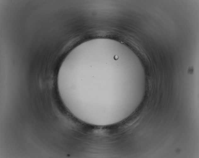 X0000094330216200711241836