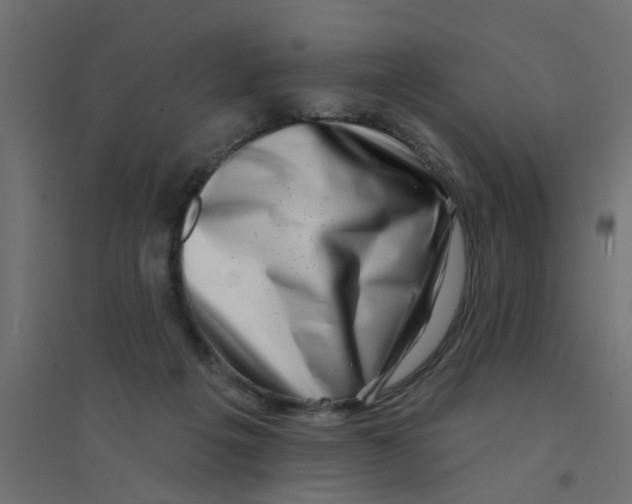 X0000094330217200711241836