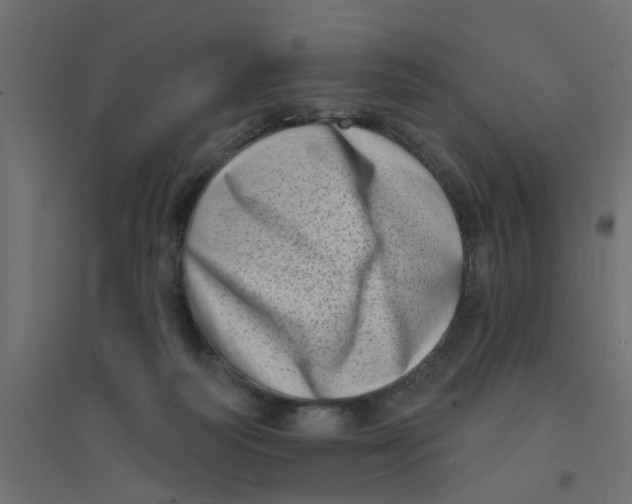 X0000094330218200711241836