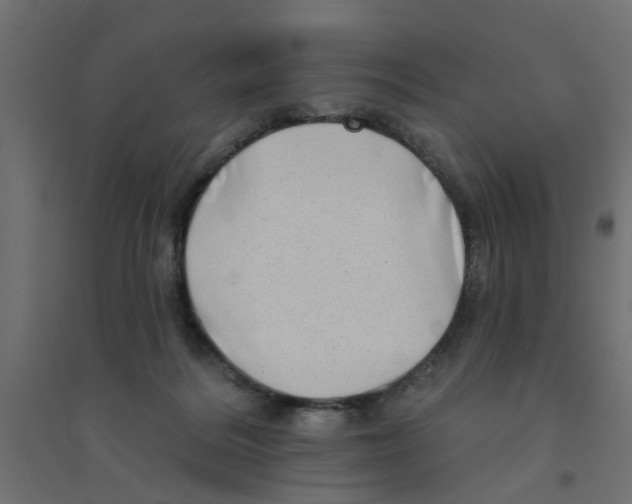 X0000094330220200711241836