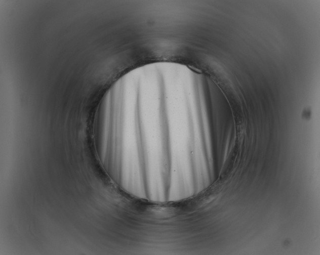 X0000094330221200711241836