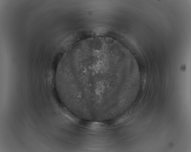 X0000094330222200711241836