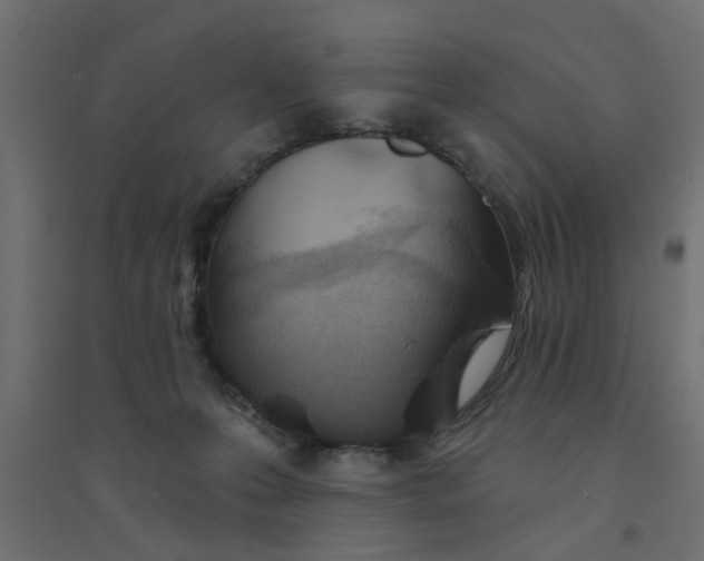 X0000094330223200711241836