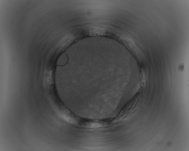 X0000094330224200711241836