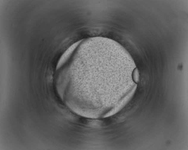 X0000094330226200711241836