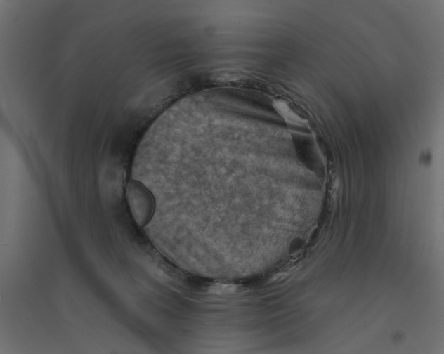 X0000094330227200711241836