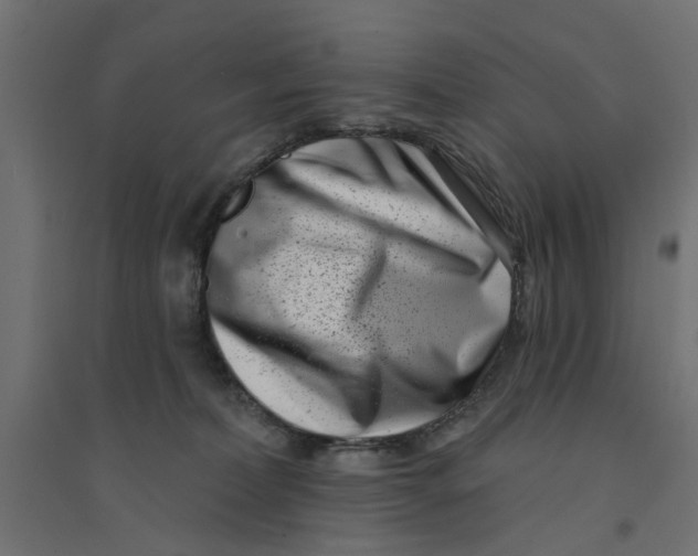 X0000094330228200711241836