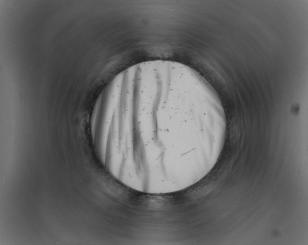 X0000094330229200711241836