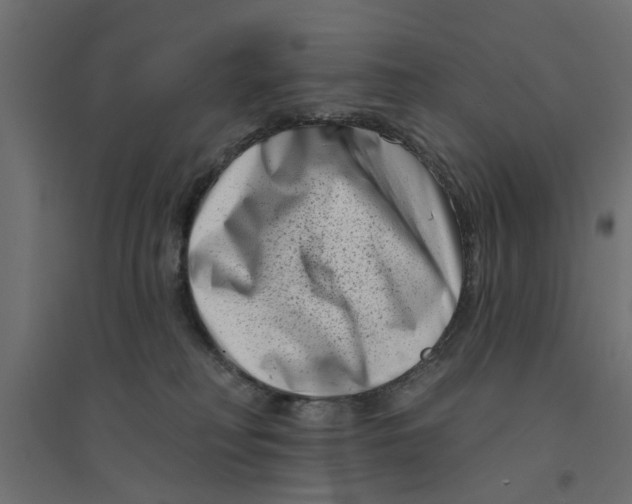 X0000094330230200711241836