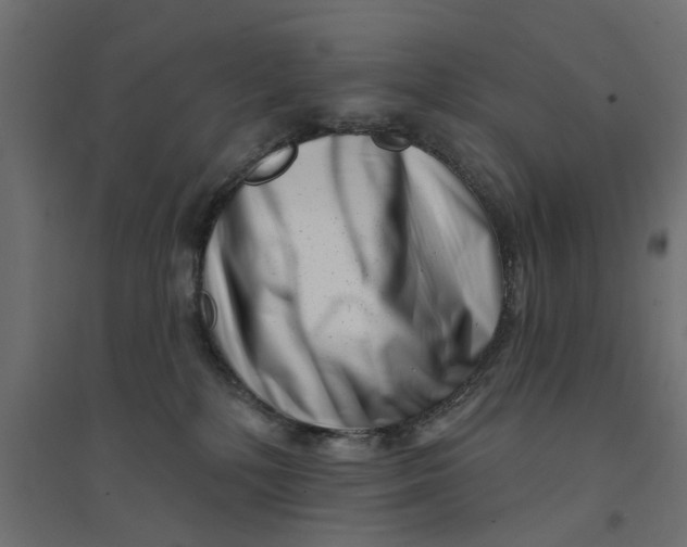 X0000094330232200711241836