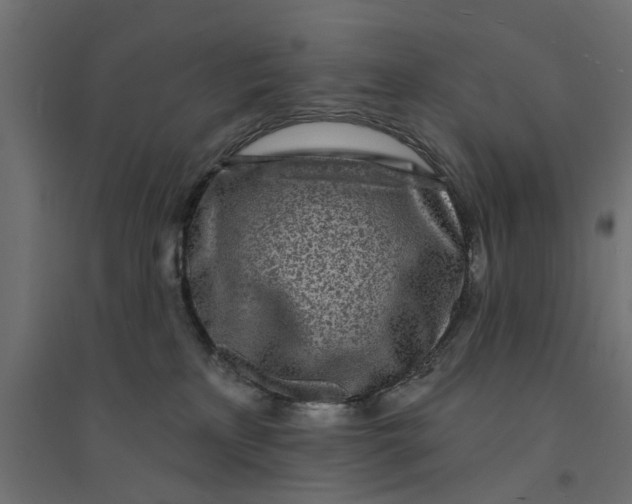 X0000094330233200711241836