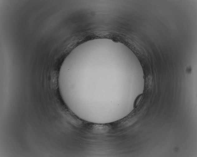 X0000094330234200711241836