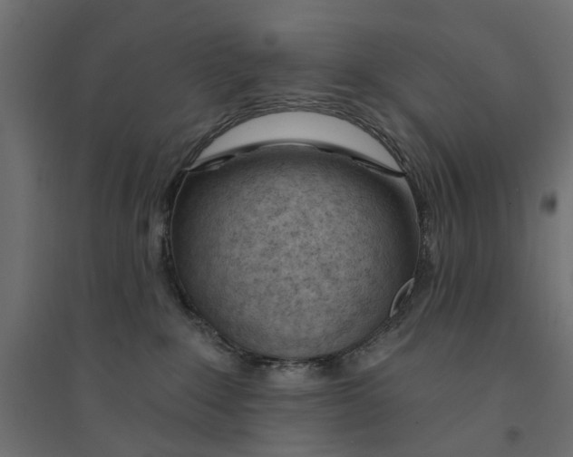 X0000094330235200711241836