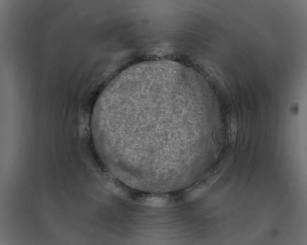 X0000094330236200711241836